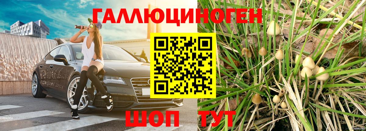 Псилоцибиновые грибы MAGIC MUSHROOMS Дзержинский