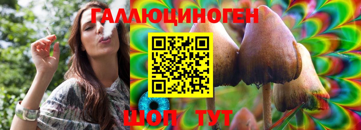 где купить наркоту  Псилоцибиновые грибы Psilocybe  Дзержинский  Вход с VPN  Псилоцибиновые грибы GOLDEN TEACHER 